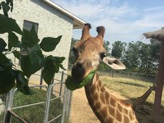 -石家庄市动物园