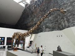 -中华赏石园