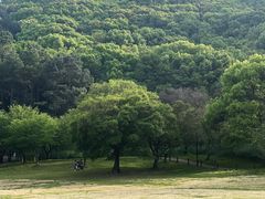 -苏州上方山国家森林公园