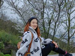 -香雪海