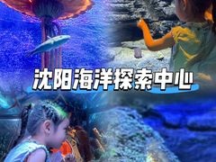 -沈阳海洋探索中心