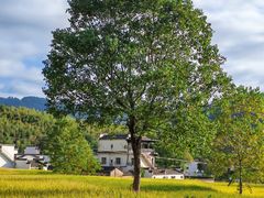 -塔川景区