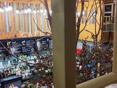 -Cafe Alice咖啡爱丽丝(奥城店)
