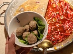 -小龙坎火锅(全球旗舰店)