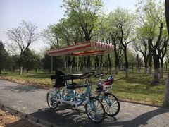 -洨河生态公园