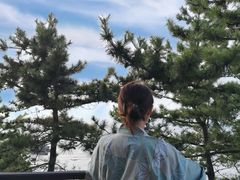 -滨千鸟之汤 海舟