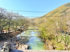 -鹿亭中村