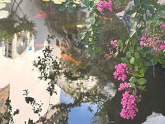 -苏州冶园园林民宿(太湖西山风景区店)