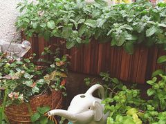 -About Bistro關於·泰式家庭料理