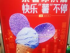 -野人先生现做冰淇淋(西安赛格店)