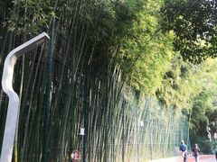 -西安市长乐公园
