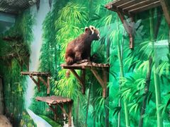 -常州淹城野生动物世界