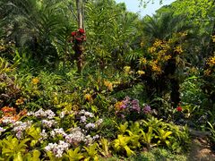 -中国科学院西双版纳热带植物园