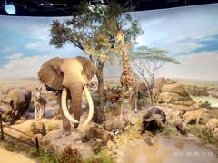 -陕西自然博物馆