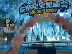 -帝企鹅自助餐厅•儿童岛•真企鹅(长隆企鹅酒店)