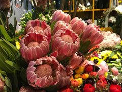 -杭州街角花屋花店(闻堰店)