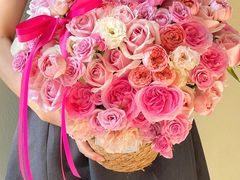 -植物学家的女儿(北马道巷店)