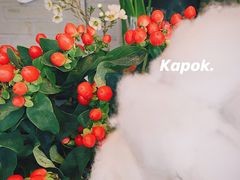 -爱尚幸福鲜花(上地实体店)