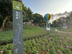 -云溪植物园