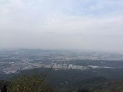 -紫金山索道-售票处