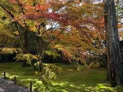 -三千院