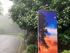 -铁山坪森林公园