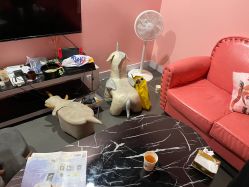 -doladola(徐家汇店)