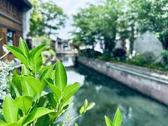 -东钱湖旅游度假区