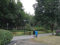 -重庆彩云湖湿地公园