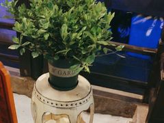 -绿茶餐厅(哈尔滨凯德店)