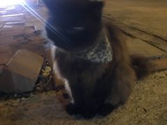 -芭提雅Amporn Seafood自助餐厅