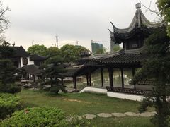 -八大山人梅湖景区