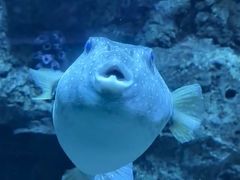 -左海海底世界