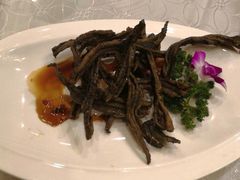 -新聚丰菜馆(太监弄店)