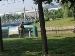 -羊亭河湿地公园