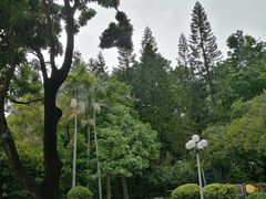 -人民公园(罗湖区)