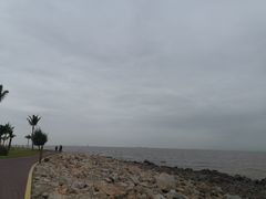 -野狸岛
