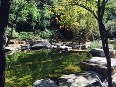 -百泉山景区餐厅