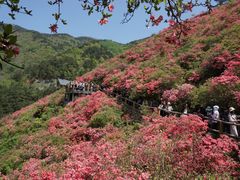 -木兰云雾山