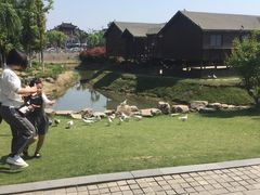 -董永七仙女文化园
