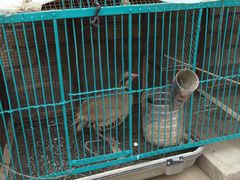 -喜利来蛋糕(景子街店)