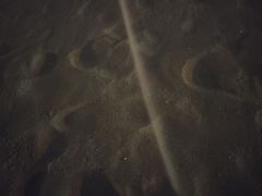 -演武大桥观景平台