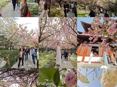 -上海青龙寺