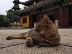 -西园戒幢律寺