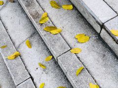 -纪念孙中山市政公园