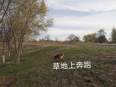 -绿堤公园