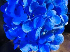 -炉鱼(天河领展店)