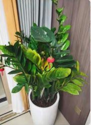 -花落谁家婚礼策划(永安街店)