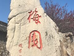 -梅园