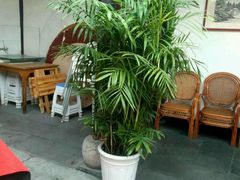 -双东酒店(东关街店)